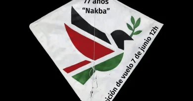 Cometas por Palestina